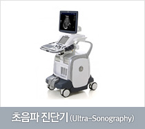 초음파 진단기(Ultra Sonography)